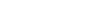 Hoomi Scout